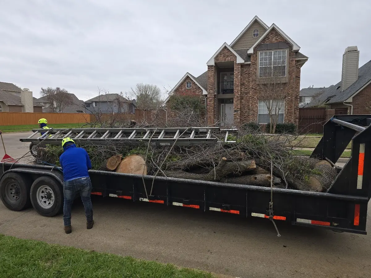Expert Tree Fertilization with proper safety equipment in Marquette